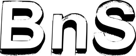 Bns Logo